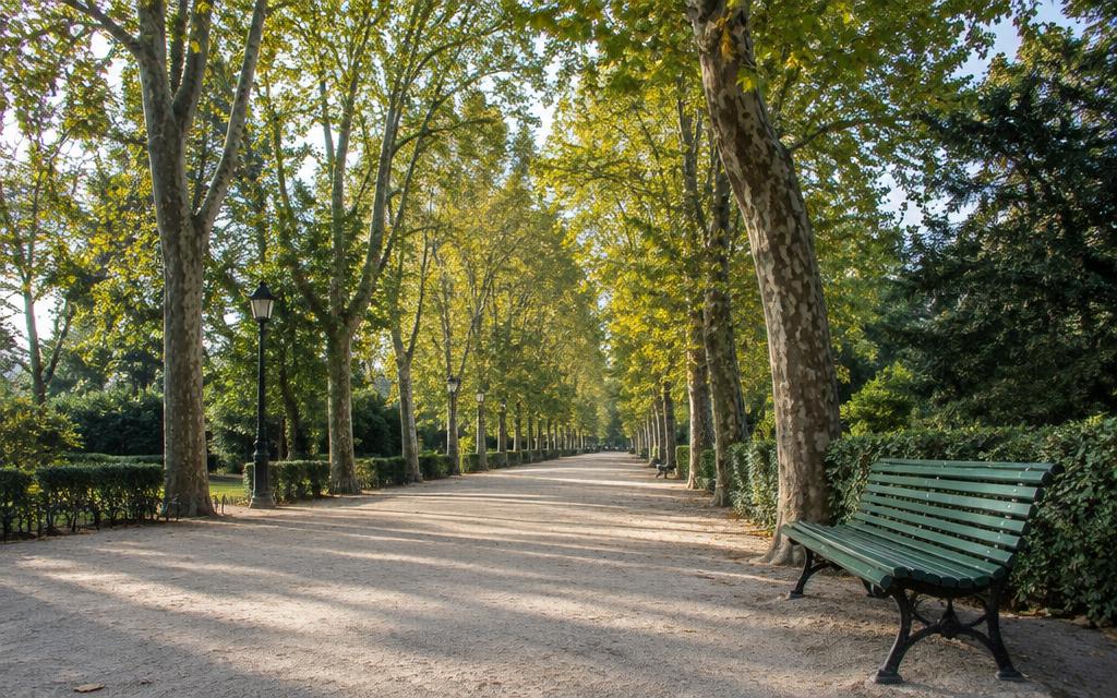 Paseo arbolado en un parque de Madrid